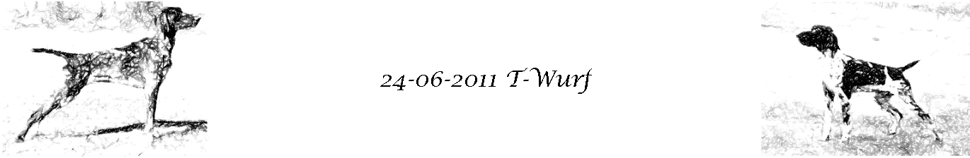 24-06-2011 T-Wurf