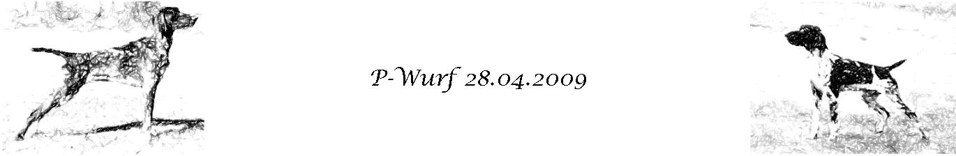 P-Wurf 28.04.2009