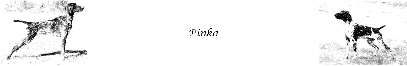 Pinka