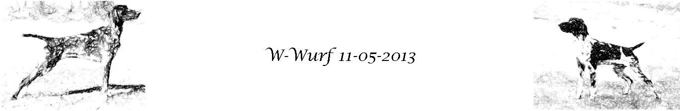 W-Wurf 11-05-2013