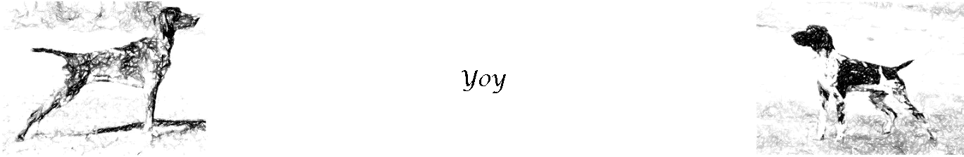 Yoy